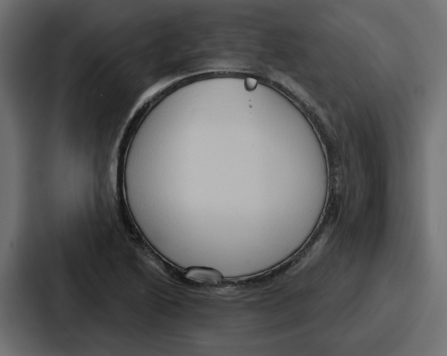 X0000086751222200705111648