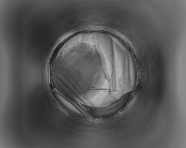 X0000086751223200705111648