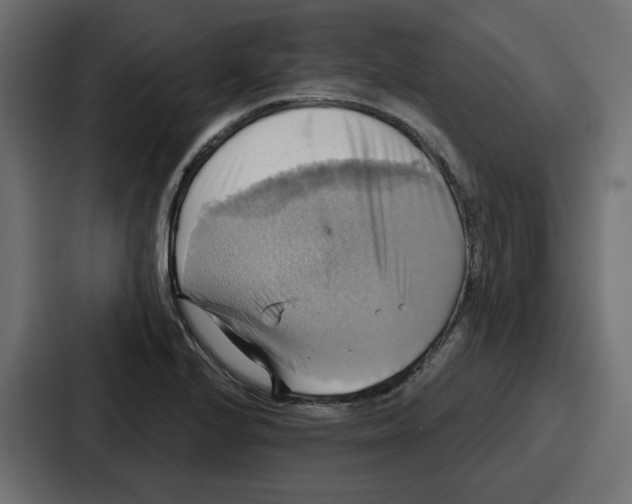 X0000086751224200705111648