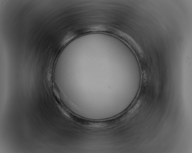 X0000086751225200705111648