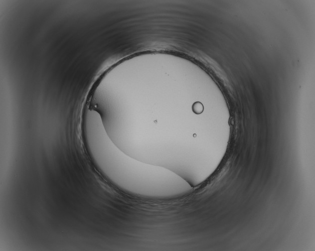 X0000086751226200705111648