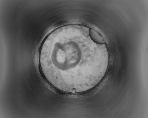 X0000086751227200705111648