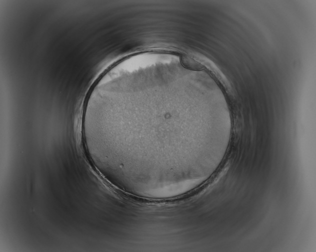 X0000086751228200705111648