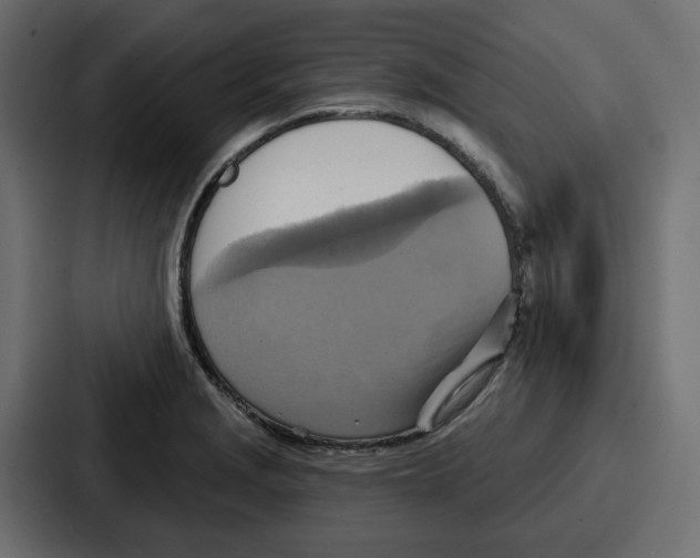 X0000086751229200705111648