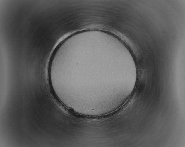 X0000086751230200705111648