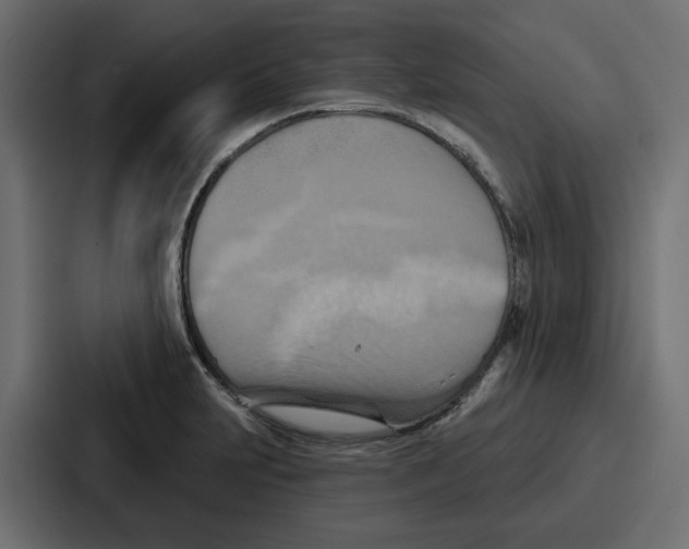 X0000086751231200705111648