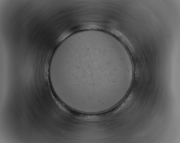 X0000086751233200705111648