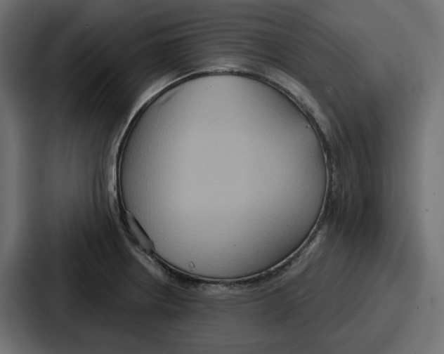 X0000086751234200705111648
