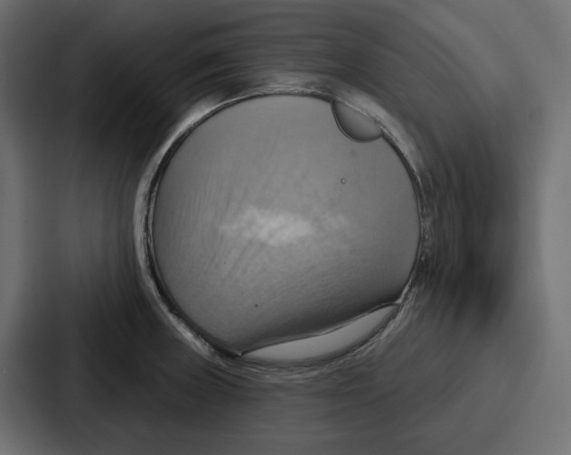 X0000086751235200705111648