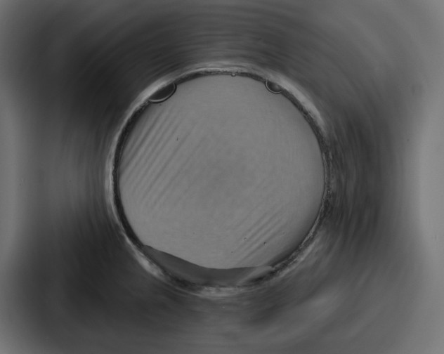 X0000086751237200705111648