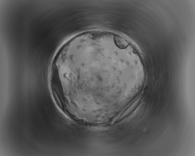 X0000086751239200705111648