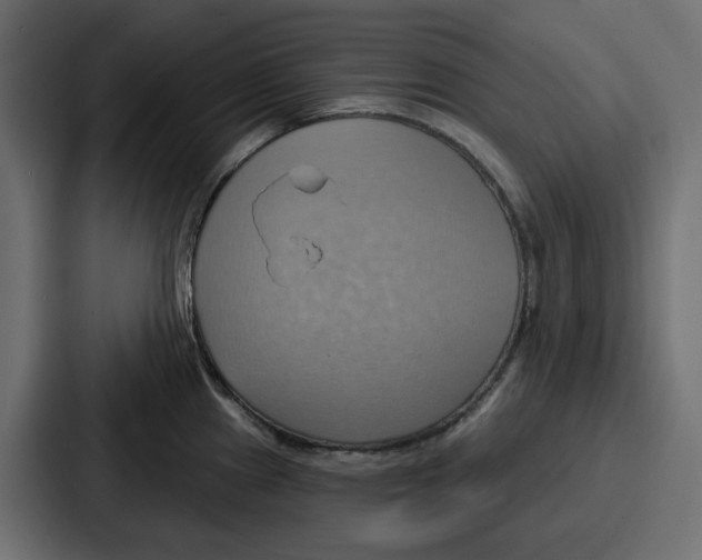 X0000086751241200705111648