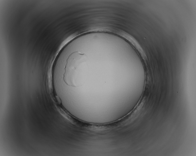 X0000086751242200705111648