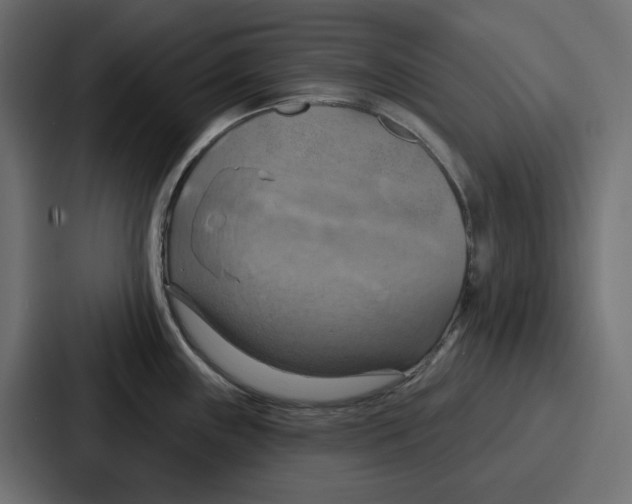 X0000086751243200705111648