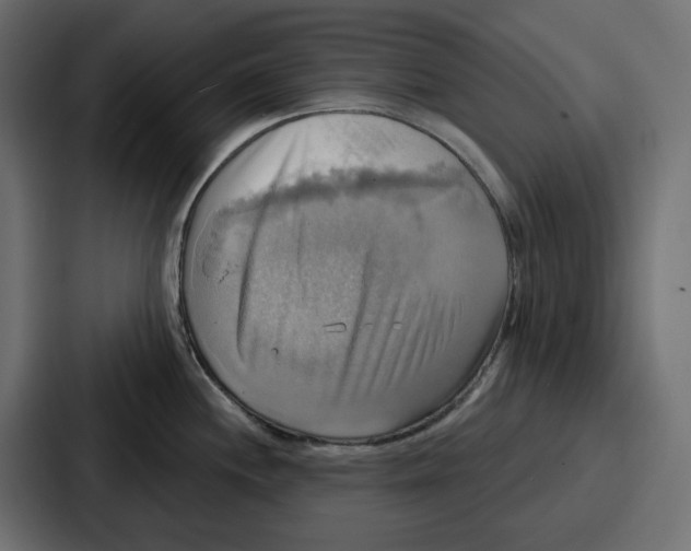 X0000086751244200705111648