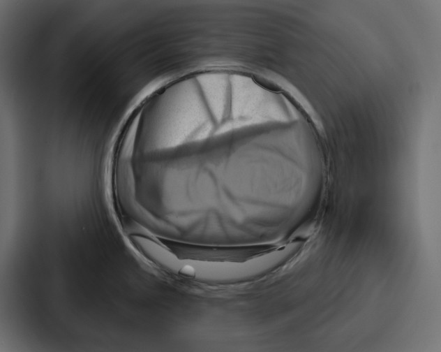 X0000086751245200705111648