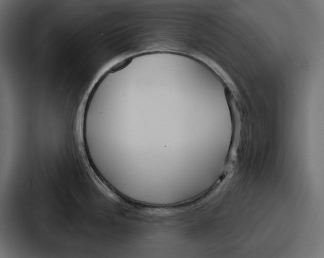 X0000086751246200705111648