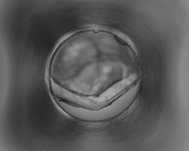 X0000086751247200705111648