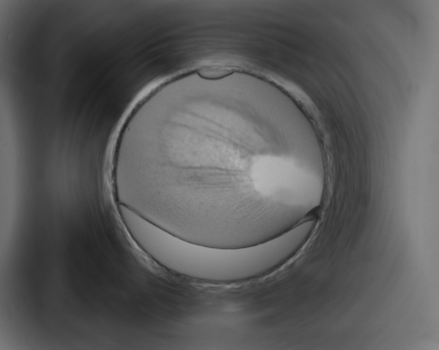 X0000086751248200705111648