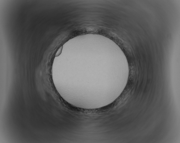 X0000086751249200705111648