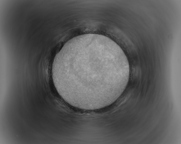 X0000086751250200705111648