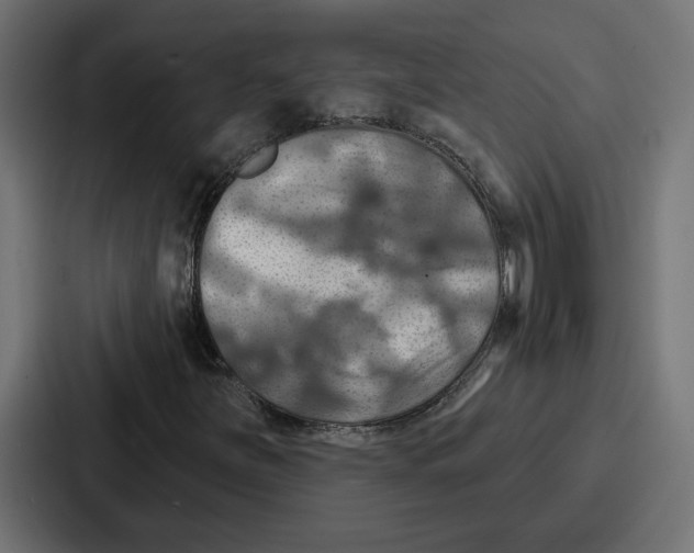 X0000086751251200705111648