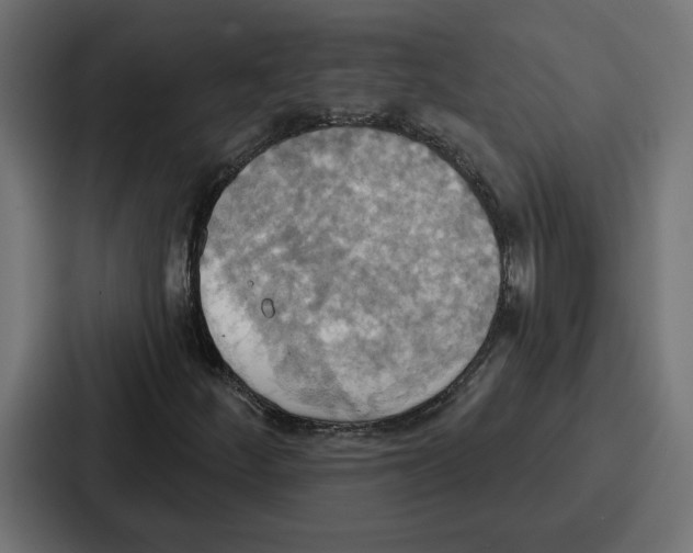 X0000086751252200705111648