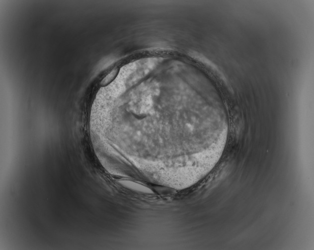 X0000086751255200705111648