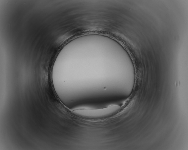 X0000086751257200705111648