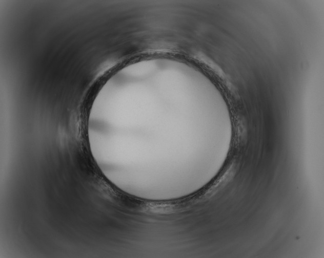 X0000086751258200705111648