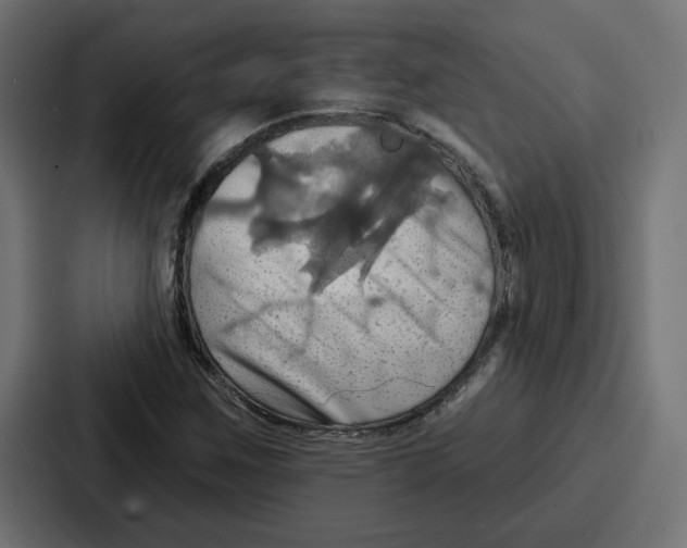 X0000086751259200705111648