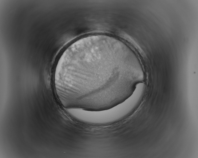 X0000086751260200705111648