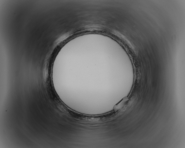X0000086751261200705111648