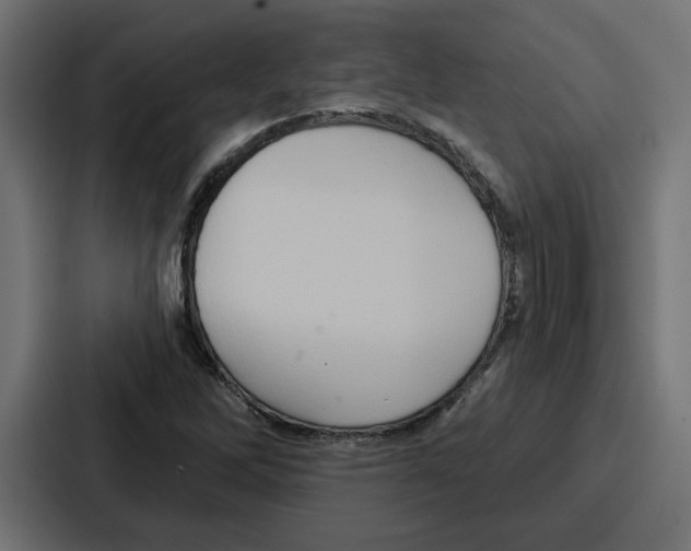 X0000086751262200705111648