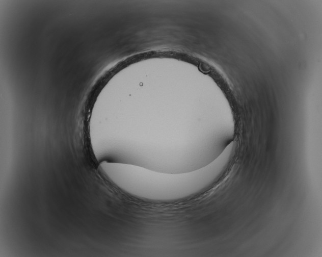 X0000086751263200705111648