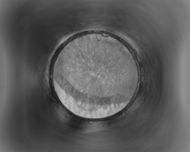 X0000086751264200705111648