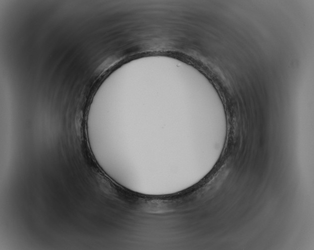 X0000086751265200705111648