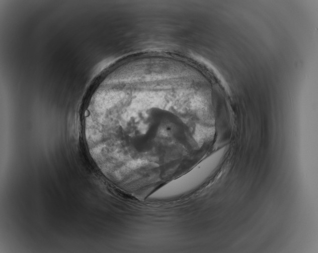 X0000086751267200705111647