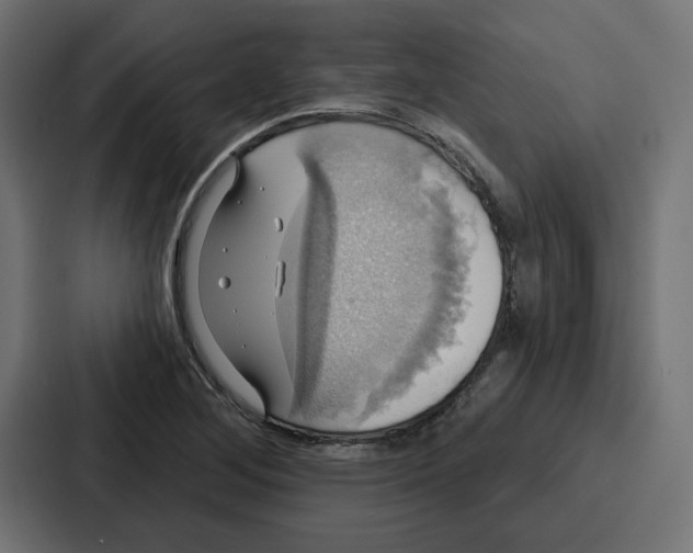 X0000086751268200705111647