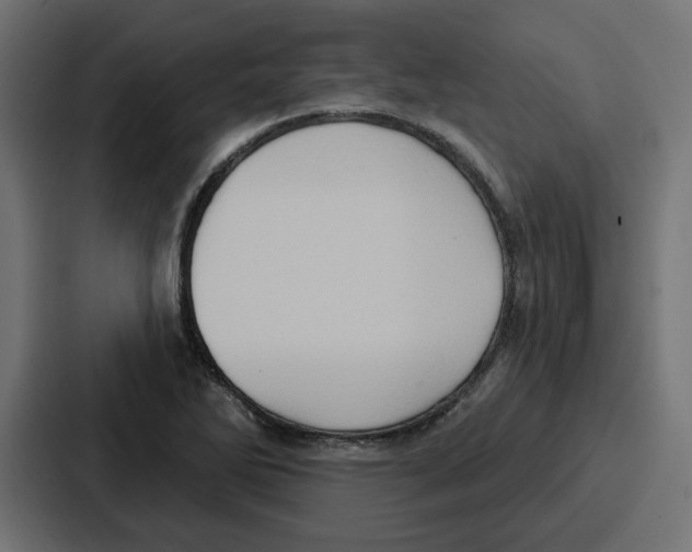 X0000086751270200705111647