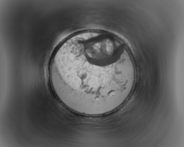 X0000086751271200705111647