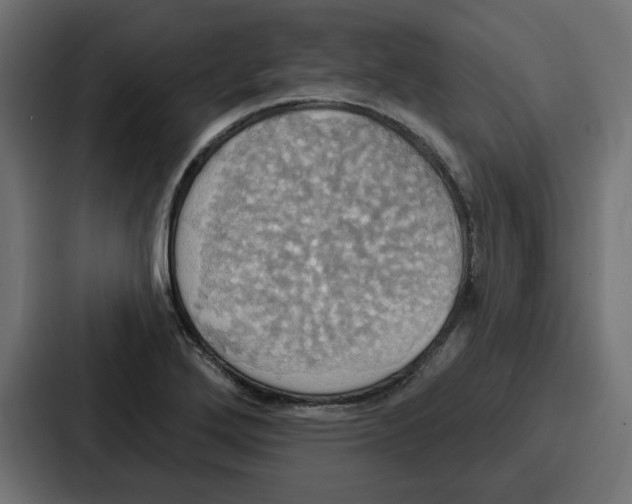 X0000086751272200705111647