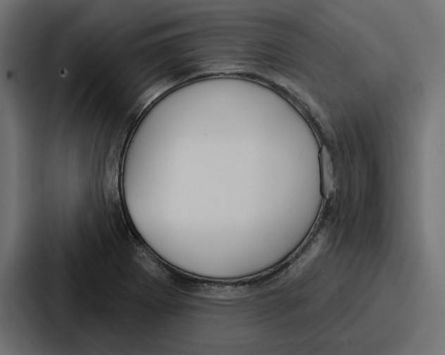 X0000086751273200705111647