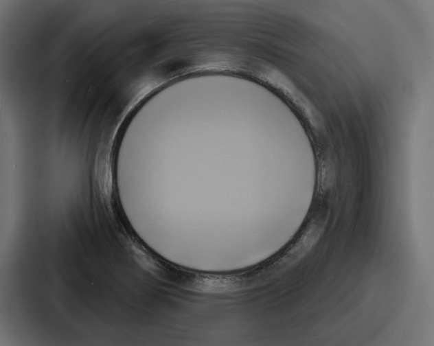 X0000086751274200705111647