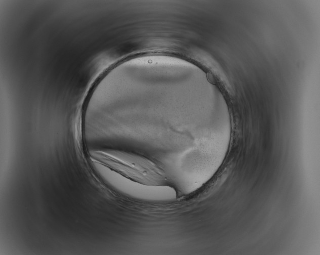 X0000086751275200705111647