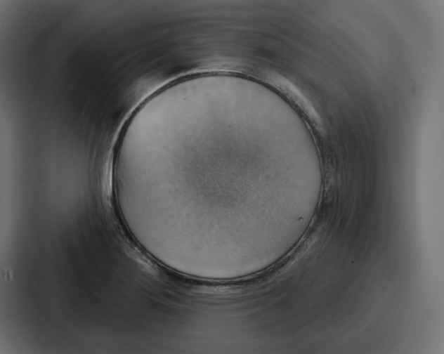 X0000086751276200705111647