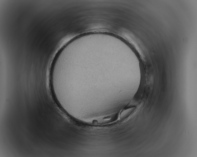 X0000086751277200705111647