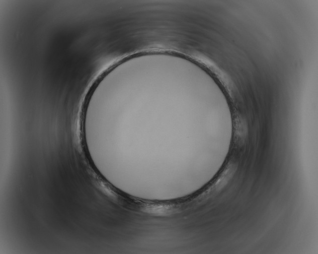 X0000086751278200705111647