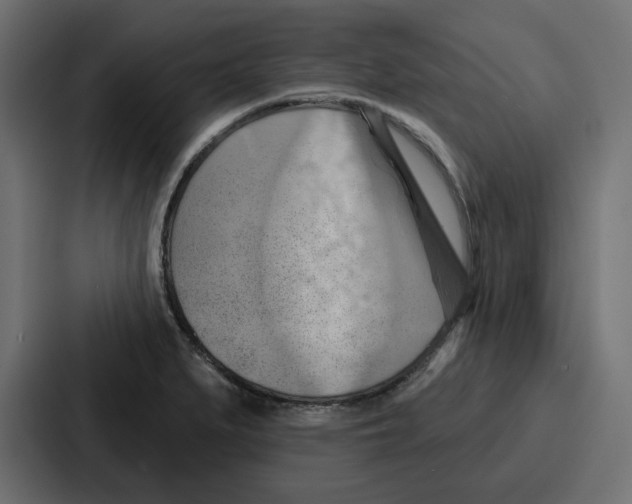 X0000086751279200705111647