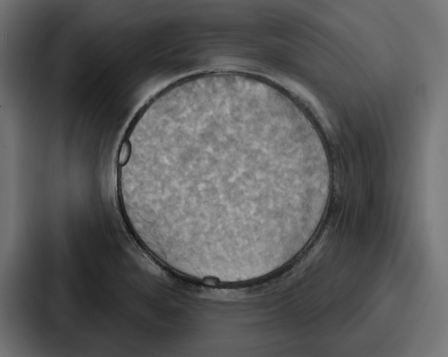 X0000086751280200705111647